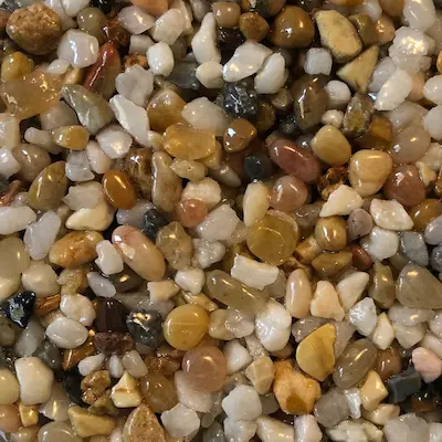 Mini Pearl Coral